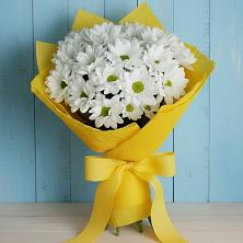 Букет цветов из:  Хризантемы в Беслане