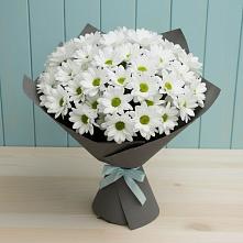 Букет цветов из:  Хризантемы в Беслане