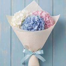 Букет цветов из:  Гортензия в Беслане