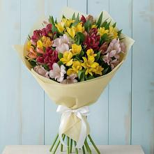 Букет цветов из:  Альстромерии в Беслане