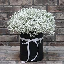 Цветочная композиция из Гипсофила в шляпной коробке в Беслане