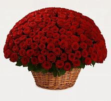 Премиум букет из: Розы #REPLACE_PRED# Беслане