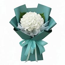 Букет цветов из:  Гортензия в Беслане